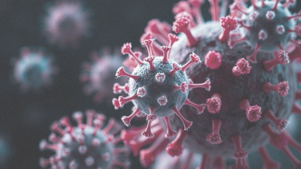 Jakie są najczęstsze szczepy wirusa grypy występujące w sezonie epidemicznym?