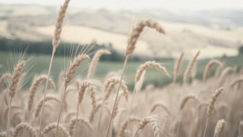 Jakie bioaktywne składniki znajdują się w proście?