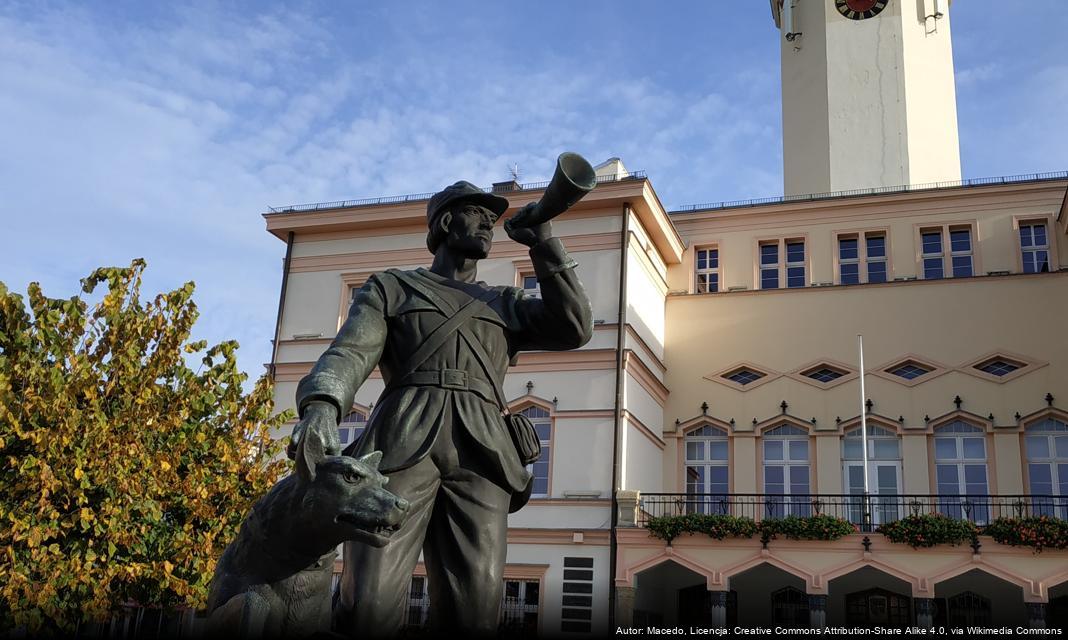 Ogłoszenie o konkursie ofert na prowadzenie świetlicy profilaktycznej w Strzelcach Opolskich