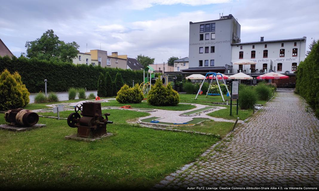 Nowa tymczasowa organizacja ruchu w Strzelcach Opolskich od 17 lipca